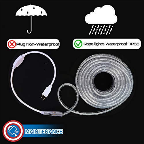 Blue LED Rope Lights 50 I767332