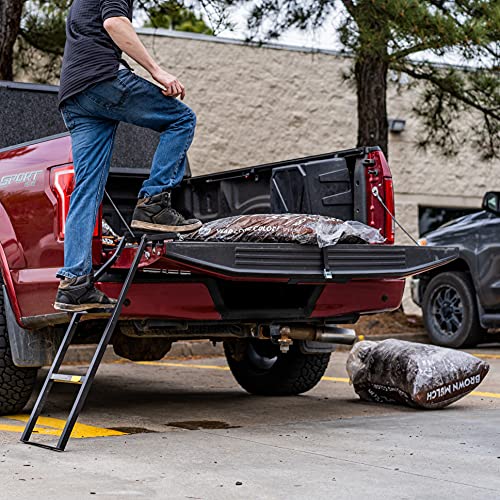 Black Tailgate Ladder H865295