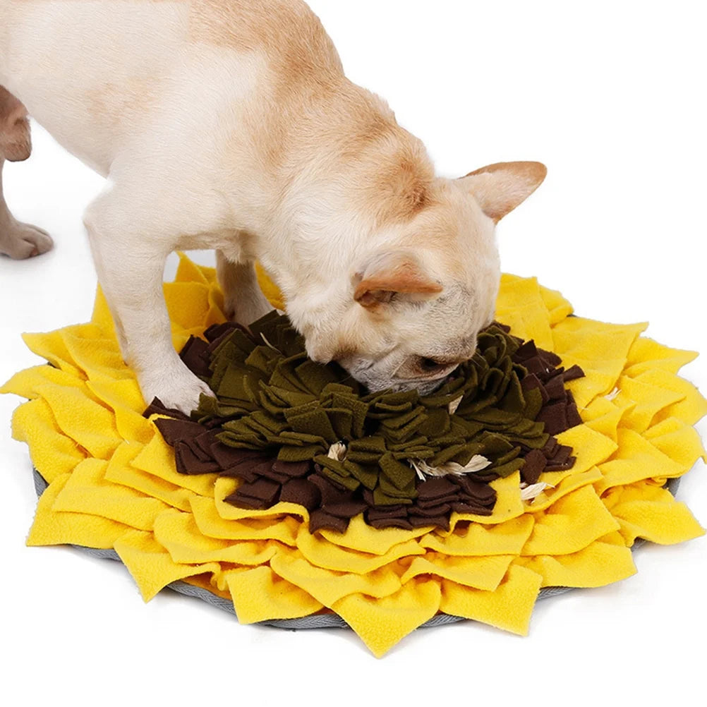 Wear-resistant Dog Slow Feeder Pad Pet Bowl R701
