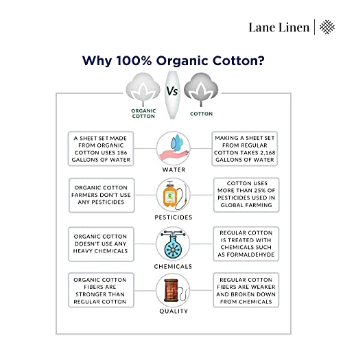 100% Organic Cotton Queen Size White Sheets 8 Pc I794230