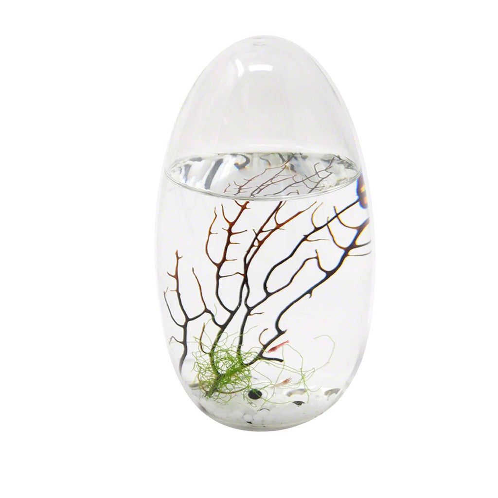Small Pod Closed Aquatic Ecosystem T725992