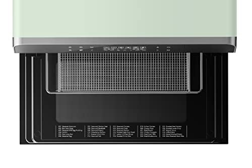 Steam Oven C55795