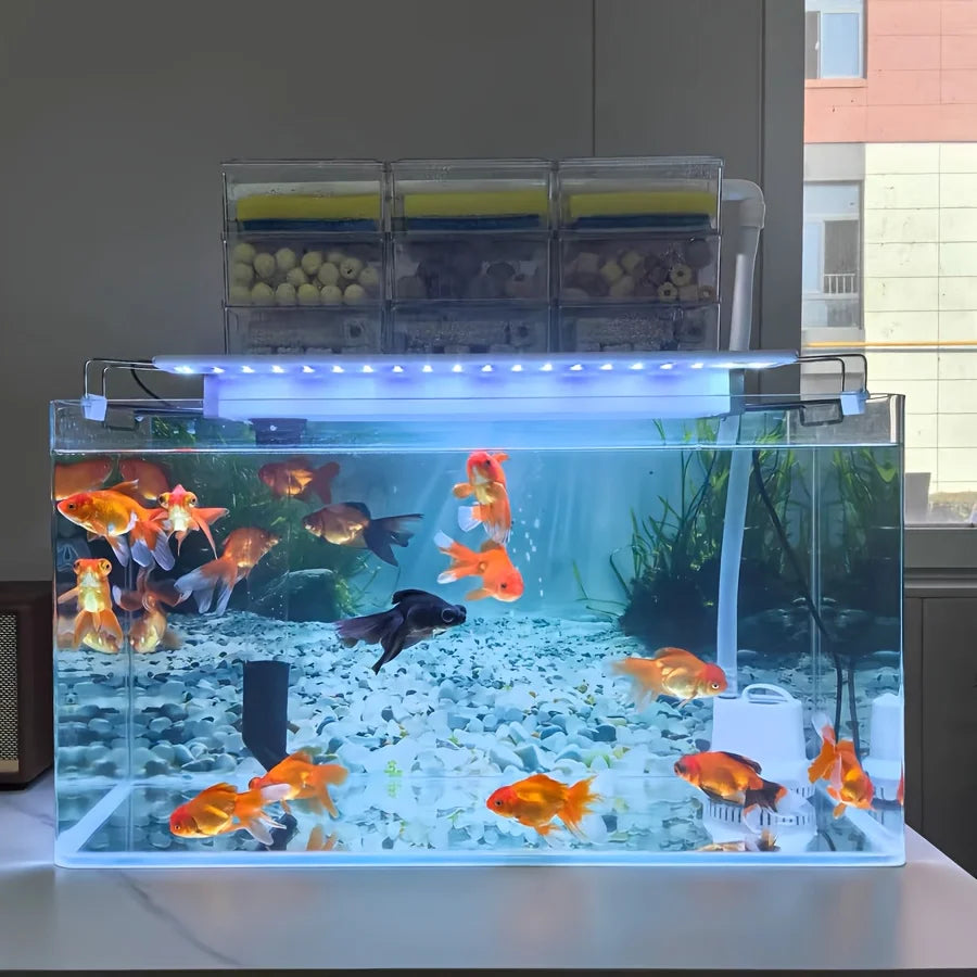 3D Aquarium Background Sticker Q18426