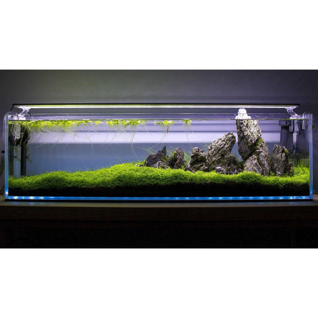 High Clarity Bookshelf Style Aquarium U995352