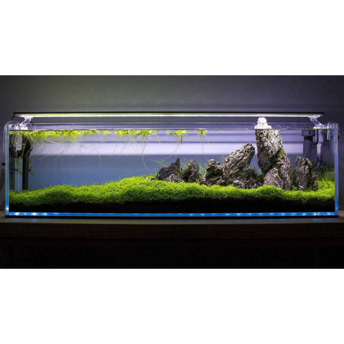 High Clarity Bookshelf Style Aquarium U995352