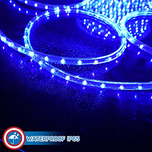 Blue LED Rope Lights 50 I767332