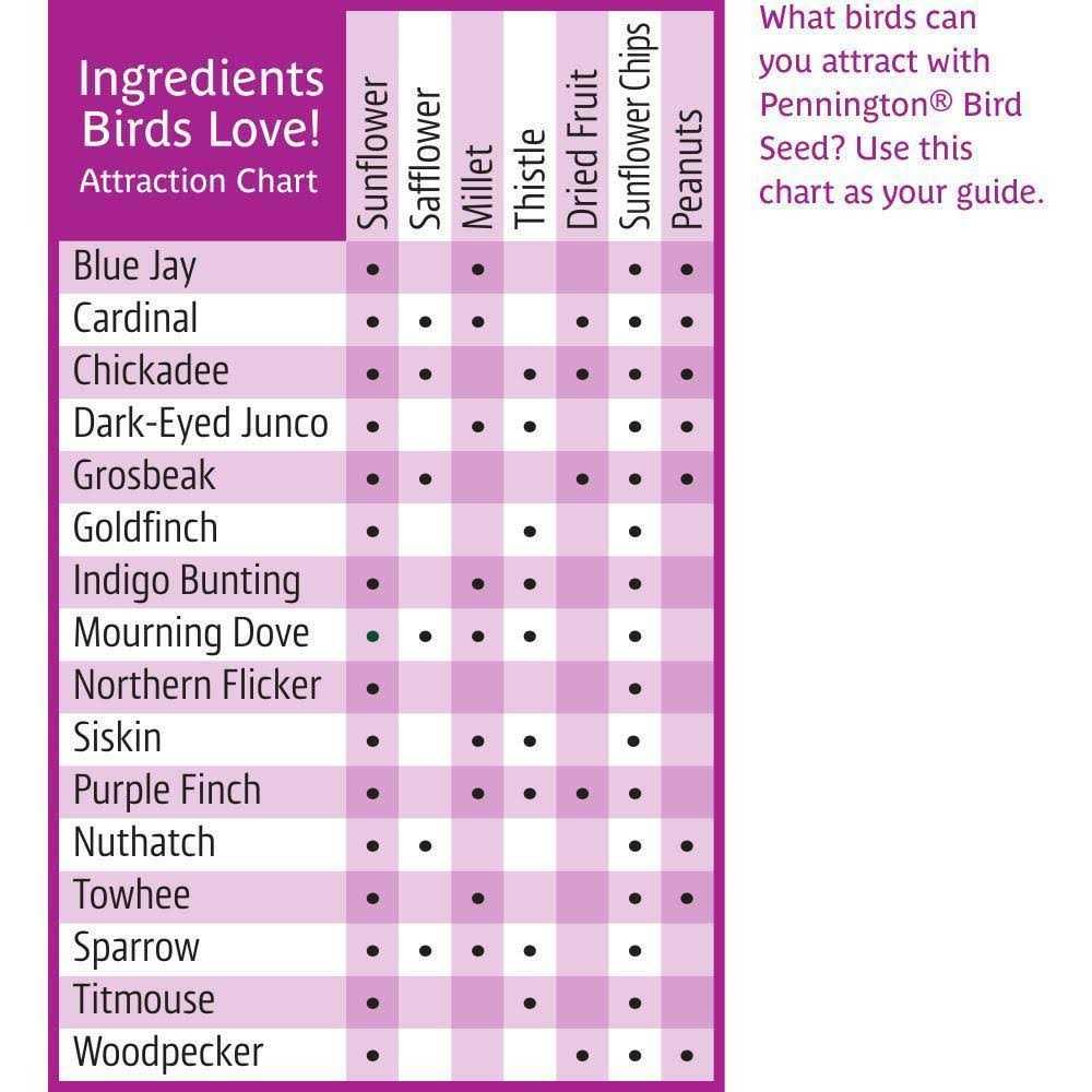 Ultra Fruit & Nut Blend Wild Bird Seed and Feed U7276