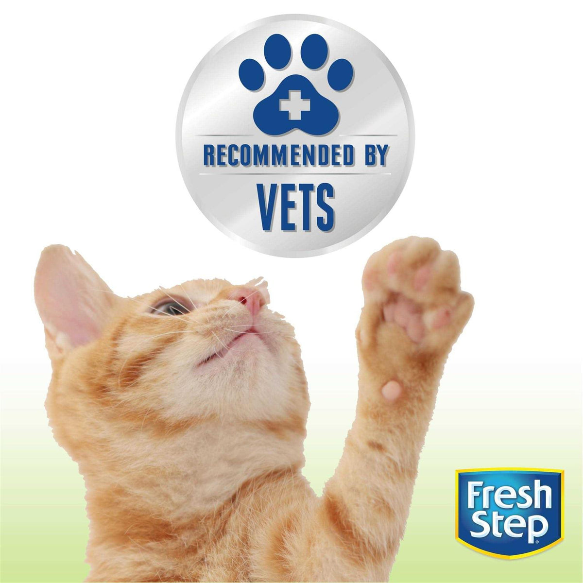 Unscented Clumping Cat Litter A786