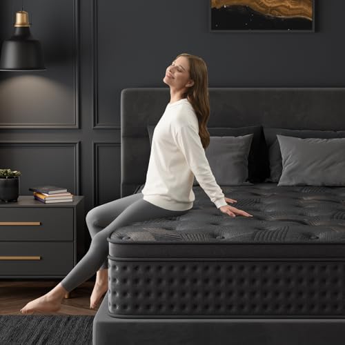 10 Inch Hybrid Queen Mattress with Memory Foam & Pocket Spring U611349
