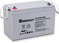 12 Volt 100Ah Deep Cycle AGM Battery D20522
