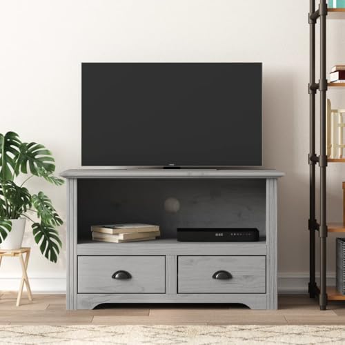 Gray Solid Wood Pine TV Stand with 2 Drawers R806