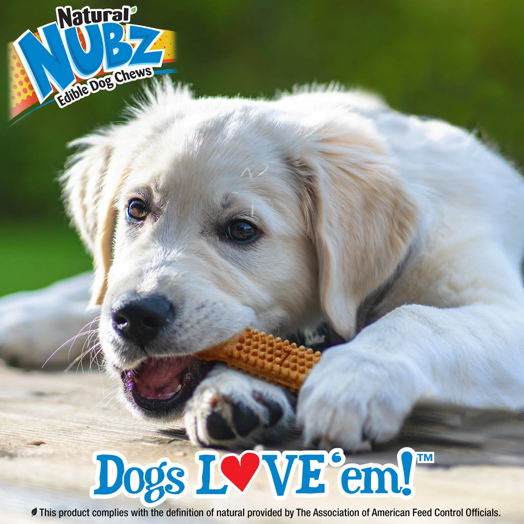Turkey & Sweet Potato Flavor Small Puppy Chew Treats U86250