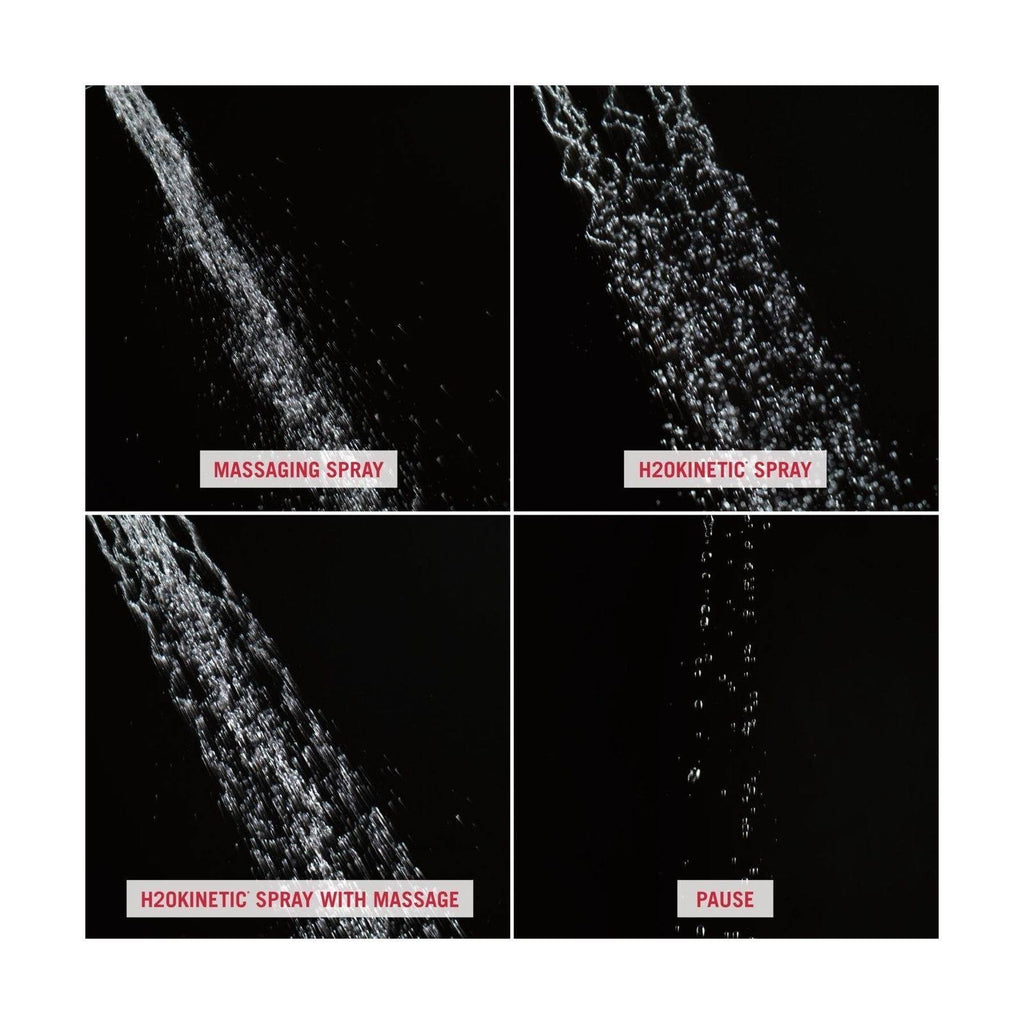 Two-in-One Shower D69070