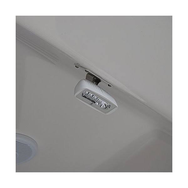 White/Blue LED Flood Light A158