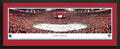 Florida Panthers Deluxe Frame O36193