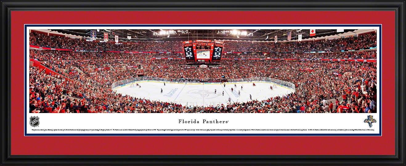 Florida Panthers Deluxe Frame O36193
