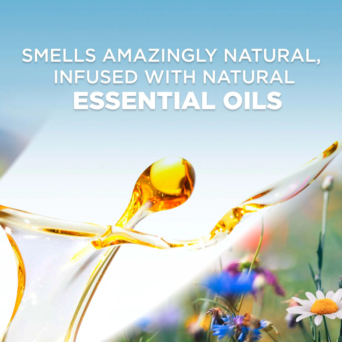 Hawaii Scented Oil Refill, 5 ct, Air Freshener P74763