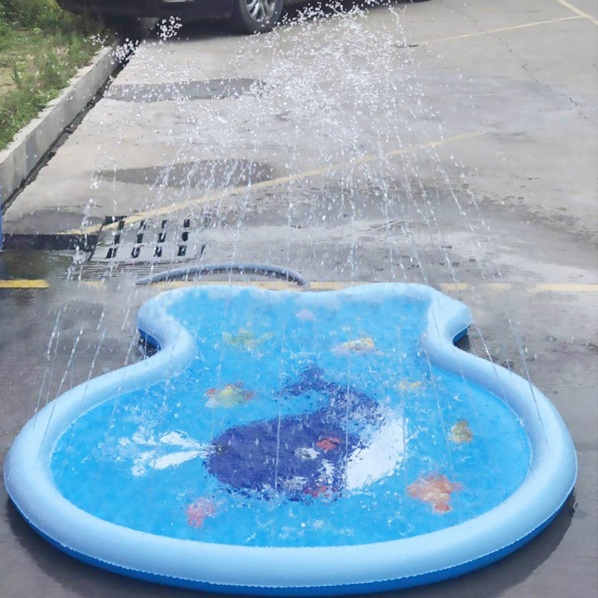Inflatable Water Spray Pad Mat Sprinkler Fish Shape Outdoor X351