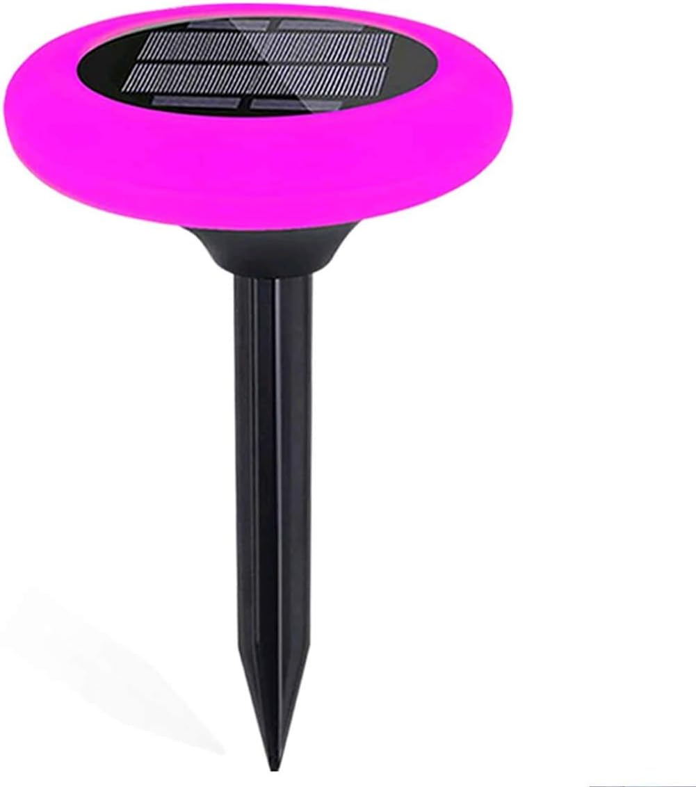 7 Color Solar Pathway Lights (4Pack) R9490