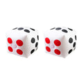 13 Inch Inflatable Dice Set B733749