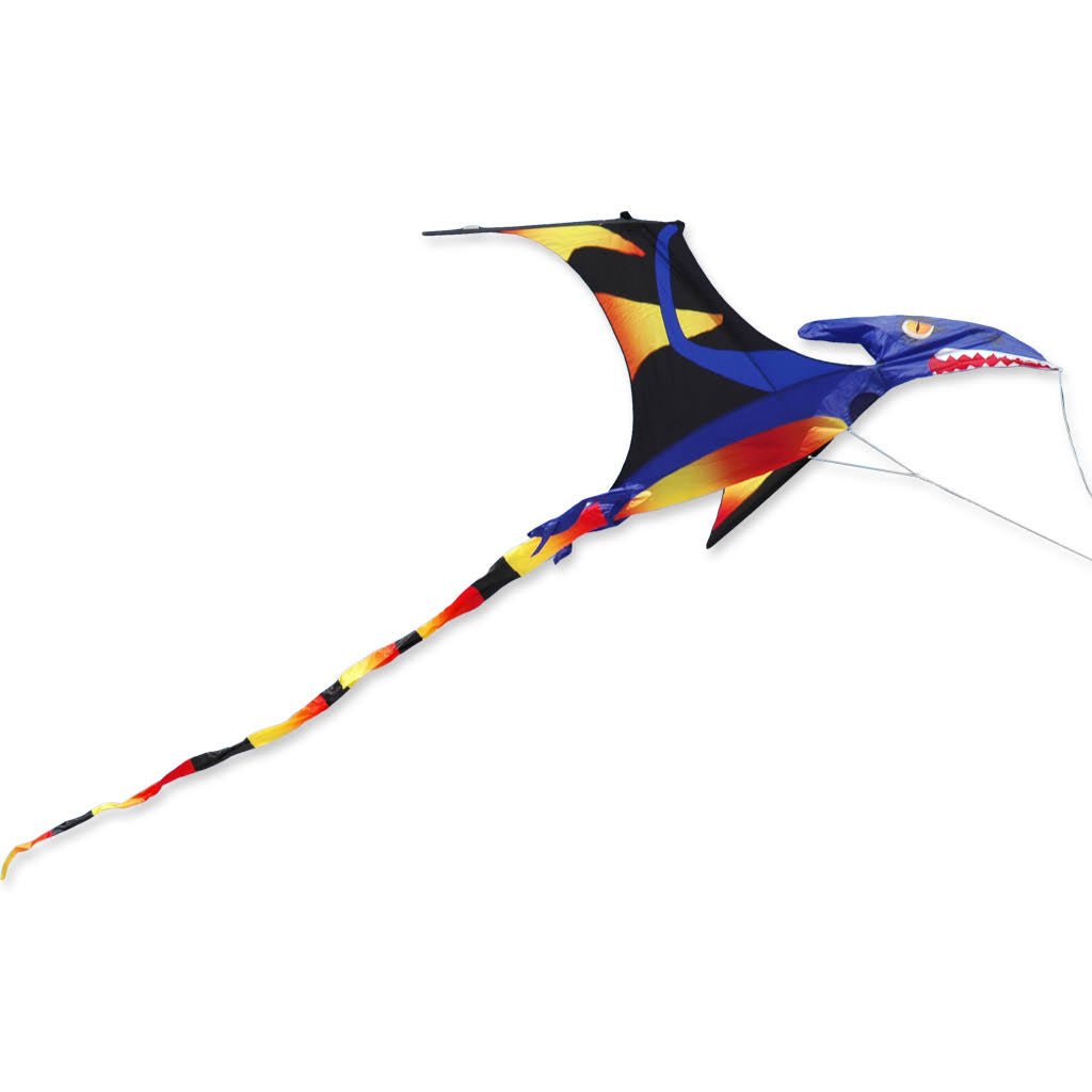 Black Wing Pterodactyl Kite R87548