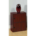 Brown 2 Door Accent Cabinet Z241102