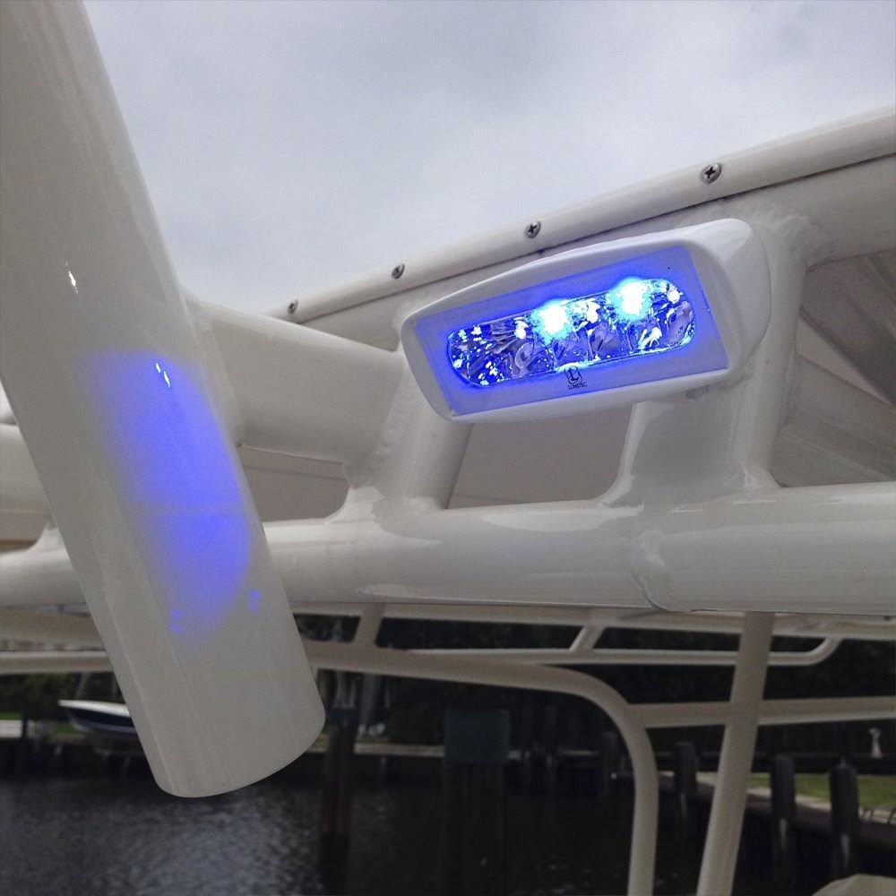 White/Blue LED Flood Light A158
