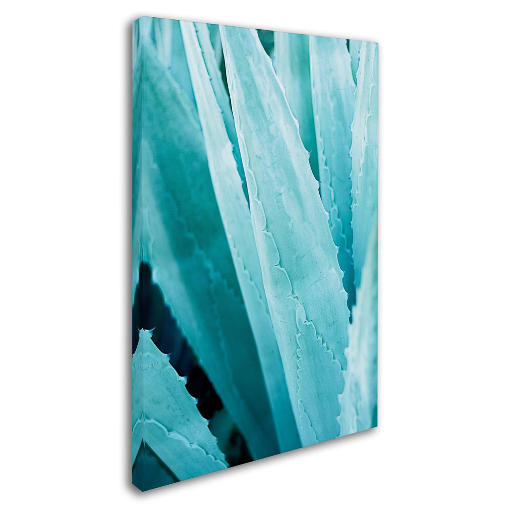 Abstract Agava IV Color Canvas Art M817