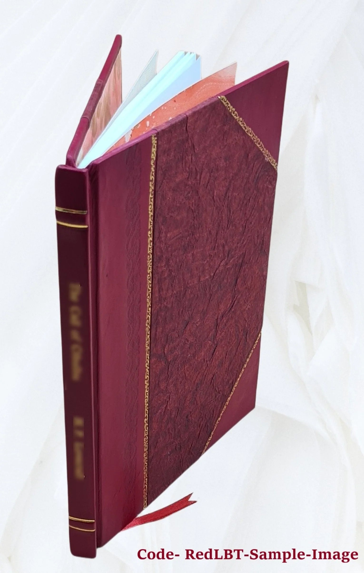 Antiquities of the St. Francis, White, and Black rivers, Arkansas: part 1. St. Francis River; part 2. White and Black rivers 1910 [Leather Bound] F255