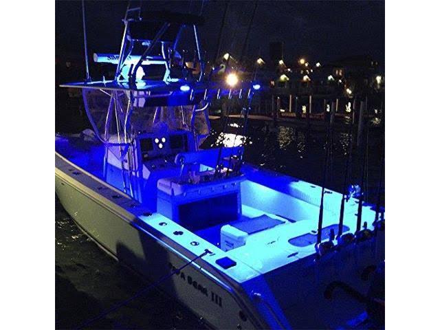 White/Blue LED Flood Light A158